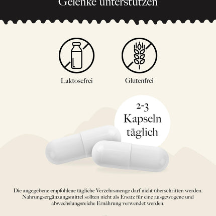 Zaļlūpu mīdiju kapsulas, 300 kapsulas 3-5 mēnešiem, uztura bagātinātājs ar zaļlūpu mīdiju koncentrātu, 500 mg vienā kapsulā, augstākā kvalitāte