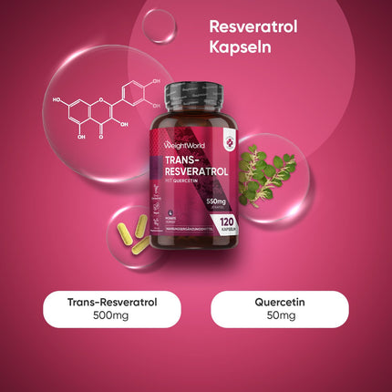 Resveratrola kapsulas - 500 mg trans-resveratrola ar 50 mg kvercetīna - 4 mēnešu krājums - OPC kapsulu alternatīva - 120 vegānas kapsulas bez magnija stearāta - polifenoli no dirzenēm - WeightWorld