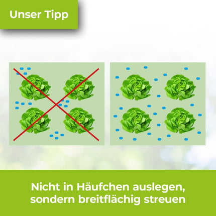 PROTECT GARDEN Protect MaXX gliemežu granulas FE, lietus izturīgas, uzticamas gliemežu apkarošanas granulas dārzeņiem, augļiem un dekoratīvajiem augiem, 1,2 kg salokāmā kastē līdz 315 m² platībai