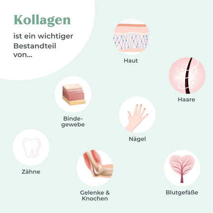 COSPHERA® kolagēna veidošanās hialuronskābe 120 kapsulas vegānas ar C vitamīnu, biotīnu, OPC, cinku un varu augstās devās - Vollagen® kolagēna kapsulu veidošanai 100% augu izcelsmes