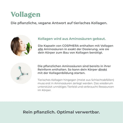 COSPHERA® kolagēna veidošanās hialuronskābe 120 kapsulas vegānas ar C vitamīnu, biotīnu, OPC, cinku un varu augstās devās - Vollagen® kolagēna kapsulu veidošanai 100% augu izcelsmes