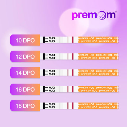 Premom 30 x grūtniecības tests agrīnai lietošanai. Īpaši jutīgs agrīnas grūtniecības tests: grūtniecības tests 10 mSV/ml - grūtniecības agrīna noteikšana 3 minūtēs - izdevīgs iepakojums 30 SST agrīna testa veikšanai.