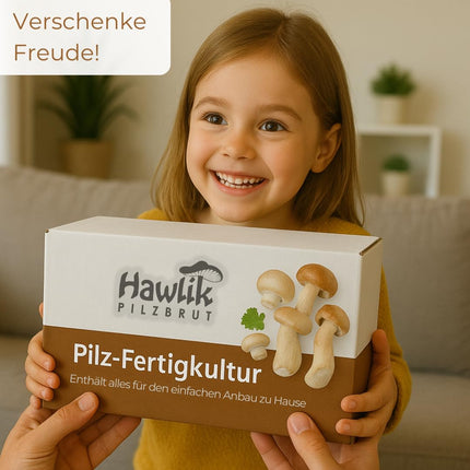 Hawlik sēņu midzeklis. Audzējiet savas sēnes – akmens sēņu audzēšanas komplekts – Ēdienkarte sēņu audzēšanai mājās – Mazs, pilnīgs komplekts iesācējiem/kā dāvana bērniem un dārzkopības entuziastiem