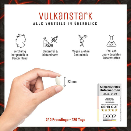Augstas devas MSM tabletes - 2000 mg MSM ar dabīgu C vitamīnu no acerolas - 4 mēnešu krājumi - Alternatīva MSM kapsulām - Metilsulfonilmetāns, vegāns, laboratoriski pārbaudīts