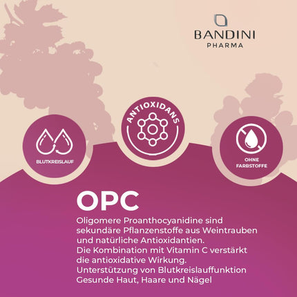 Bandini® vīnogu kauliņu ekstrakts 200 kapsulas 3 mēnešiem | Augsta OPC koncentrācija ar 95% katrā kapsulā | Augstākais saturs saskaņā ar HPLC | No Itālijas vīnogām | 1052 mg ekstrakta ar 999,4 mg OPC + 24 mg C vitamīna