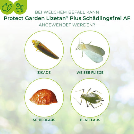 PROTECT GARDEN Lizetan Plus kaitēkļu nesaturošs līdzeklis pret kaitēkļiem dekoratīvajiem augiem, rozēm, augļiem un dārzeņiem, 800 ml aerosols
