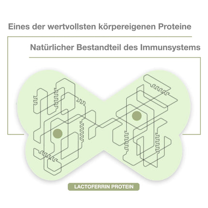Laktoferīns 250 mg – Augsta deva 60 kapsulas 60 dienām | Tīrs imūnproteīns | Ražots Vācijā | Bez mākslīgām piedevām