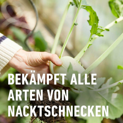 COMPO gliemežu atbaidīšanas līdzeklis - pret gliemežiem - lietus necaurlaidīgs - granulas pret gliemežiem izdevīgā iepakojumā - pietiekams līdz 1800 m² - 4 x 225 g, bez gliemežiem