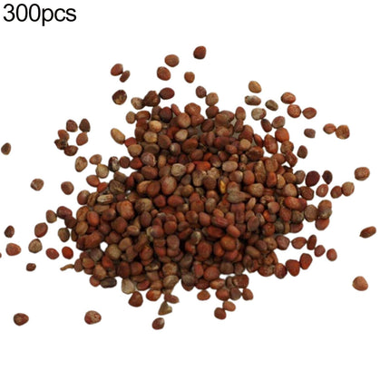 Cukurbiešu sēklas, 300 mantojuma cukurbiešu sēklas, augsta dīgtspēja, bez ĢMO, mantojuma stādīšanai āra dārzā, pagalmā, dārzeņu dārza sēklas