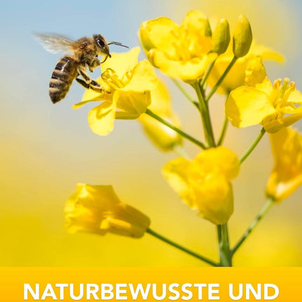 Nordbienchen® 20 ml propolisa tinktūra ar 40% propolisa no mūsu pašu biškopības – bišu propolisa ekstrakts – propolisa pilieni vislabākajā biškopības kvalitātē – bez piedevām