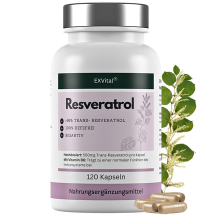 EXVital® resveratrola kapsulas, 98% trans-resveratrols, 500 mg vienā kapsulā, 120 vegānas kapsulas, vegānas un bez piedevām, laboratoriski pārbaudītas