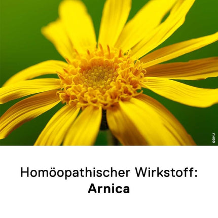 DHU Arnica D12 izkliedes lodītes, 10 g globulas