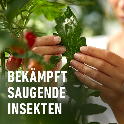 COMPO Pest-free plus AF - Izsmidzinātājs pret laputīm, zvīņkājiem, rupjmaizēm, bukskoku kodēm utt. - dekoratīvajiem augiem un sēkleņiem - 500 ml - gatavs lietošanai insekticīds
