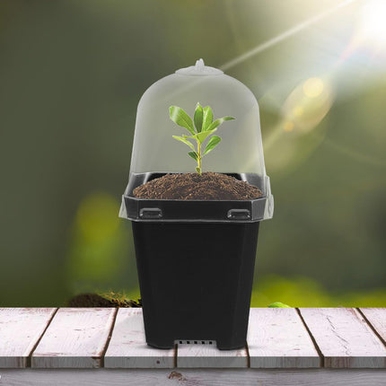 Mini puķupodu audzēšanas podi ar kupolu: 10 gabalu iekštelpu siltumnīcas audzēšanas komplekts, kupola augi, augu podi, palodzes siltumnīca, plastmasas audzēšanas paplātes, augu pods augiem