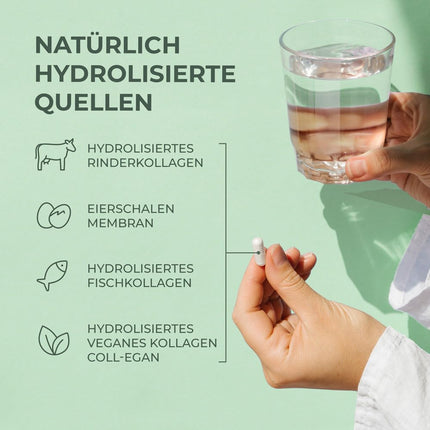 Primal Harvest ® Multi-Collagen - 120 kolagēna kapsulas ar augstu devu - augstākās kvalitātes kolagēna komplekss - GMP sertificēts un ražots Vācijā - bez glutēna un sojas