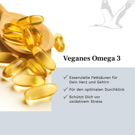 Vegāns Omega 3 augstas devas - 1500 mg dienā ar 450 DHA un 225 EPA no aļģu eļļas - 90 kapsulas 1 mēnesis - Omega 3 aļģu eļļas kapsulas ar firmas izejvielu life'sOMEGA® - bez zivīm - sabalansēta vitalitāte