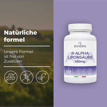 Bandini® alfa lipoīnskābe (alfa lipoīnskābe) 650 mg depo | 120 lielas devas vegānas kapsulas | Dabīgs antioksidants | Augsta biopieejamība | Palīdz pret iekaisumu | 4 mēnešu krājumi | Laboratorijā pārbaudīts