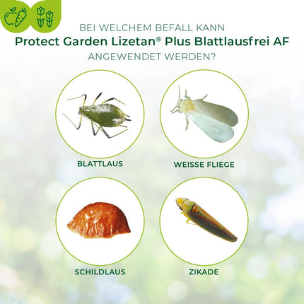 PROTECT GARDEN Lizetan Plus Aphid-Free AF ​​​​speciālais aerosols pret laputīm rozēm, dekoratīvajiem augiem, augļiem un dārzeņiem, 1 litrs