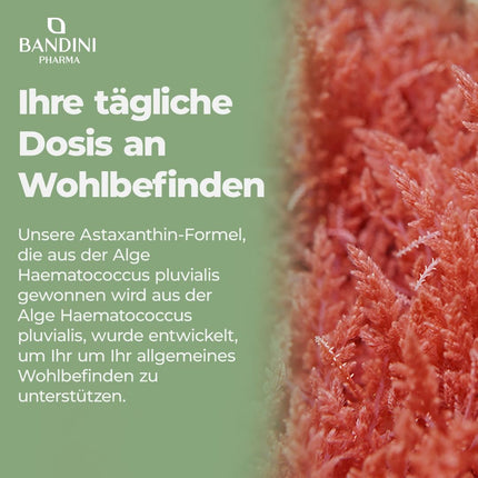 Bandini® Pure astaksantīns 8 mg kapsulā, 270 kapsulas, 9 mēnešu krājumi (1 kapsula dienā), aļģes Haematococcus Pluvialis - dabīgs astaksantīns, bez magnija stearāta, bez ĢMO