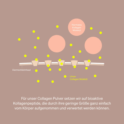 Kolagēna pulveris 500 g – kolagēna hidrolizāta peptīdi – 1. un 3. tipa kolagēns – svaiga apelsīnu garša, lieliska šķīdība, dabīgs, laboratorijā pārbaudīts un ražots Vācijā