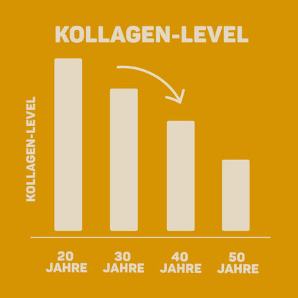 Lebepur kolagēna pulveris 550g - bioaktīvs augstākās kvalitātes kolagēna hidrolizāts - 1. un 3. tipa peptīdi - bez hormoniem un antibiotikām - ļoti labi šķīstošs un bezgaršīgs