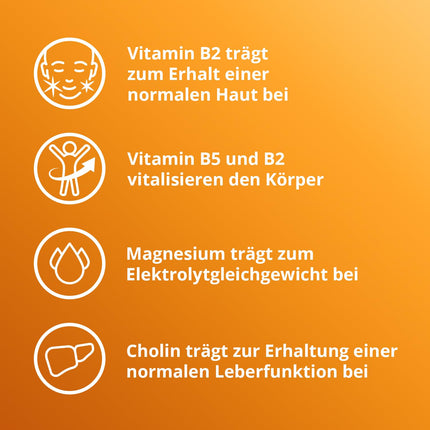 ELOTRANS reload - izotonisks elektrolītu-glikozes maisījums - uztura bagātinātājs ar magniju, kālija hlorīdu, holīnu un B vitamīniem - 1 x 15 paciņas