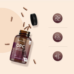 OPC vīnogu kauliņu ekstrakts - 240 kapsulas - 1000 mg ekstrakta vienā kapsulā - 8 mēnešu krājumi - 95% OPC - no franču vīnogām - WeightWorld