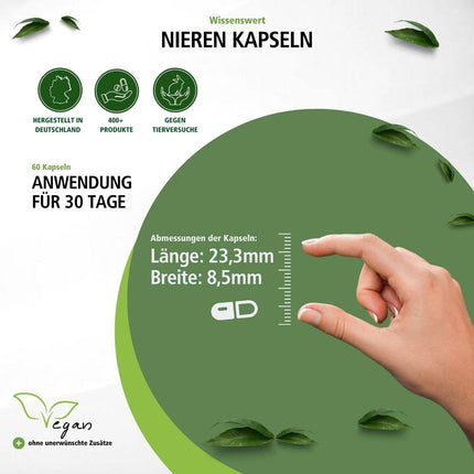 Fairvital | Nieru kapsulas - 60 kapsulas - AUGSTA DEVA - VEGĀNS - ar dzērvenēm, miltenēm, pienenēm un citām sastāvdaļām