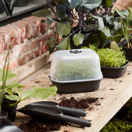 elho Green Basics audzēšanas paplātes komplekts - audzēšanas kaste augiem - stādu paplāte - 100% pārstrādāta plastmasa - zaļa/lapu zaļa