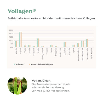COSPHERA® kolagēna veidošanās hialuronskābe 120 kapsulas vegānas ar C vitamīnu, biotīnu, OPC, cinku un varu augstās devās - Vollagen® kolagēna kapsulu veidošanai 100% augu izcelsmes