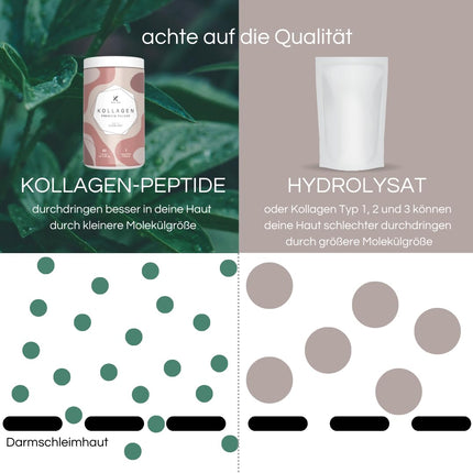 KOLL`ZYM© 100% KOLAGĒNA PULVERIS augstas devas [300 g] • Oriģināls • KOLAGĒNA peptīdi • Bioaktīvs kolagēns • BEZ hidrolizāta • Bez garšas • Ražots Vācijā