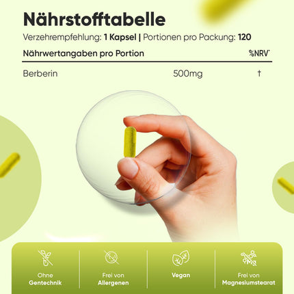 Berberīns 500 mg — 4 mēnešu krājumi — 120 vegānas berberīna kapsulas — 1 kapsula dienā — bez magnija stearāta — By WeightWorld