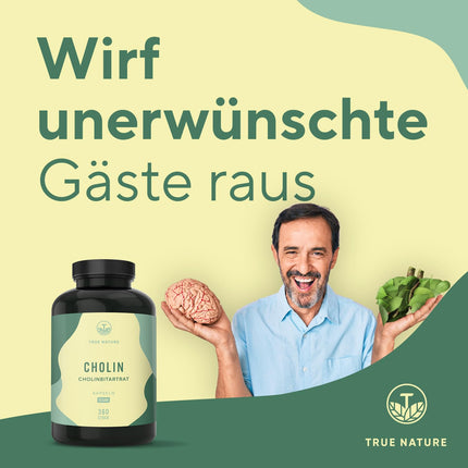 Holīna kapsulas - 360 kapsulas - holīna bitartrāts - *Aknu veselība, homocisteīns un lipīdu metabolisms (EFSA) - vegāns, ražots Vācijā - TRUE NATURE®