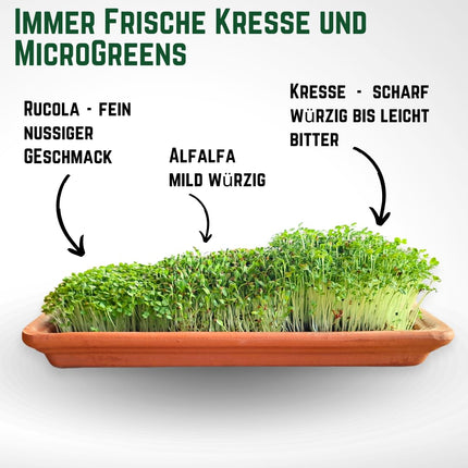 Green Mageo Family 31 cm kressalātu audzēšanas komplekts - audzēšanas paplāte ar kressalātu, lucernas un rukolas sēklu maksimālo iepakojumu, džutas audzēšanas paklājiņi, ideāli piemēroti kā mikrozaļumu audzēšanas komplekts