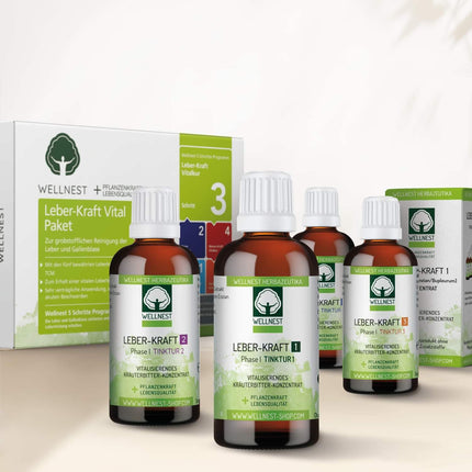 Wellnest Liver Power Detox ārstēšanas pakete (detoksikācijas ārstēšanas pakete 40 dienu aknu attīrīšanai saskaņā ar TCM) - 100% augu izcelsmes - viegli lietojams - ļoti efektīvs aknu un miega traucējumu gadījumā