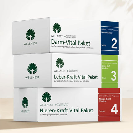 Wellnest Kidney Power Detox ārstēšanas pakete (detoksikācijas ārstēšanas pakete 30 dienu nieru attīrīšanai saskaņā ar Huldas Klārkas metodi) - 100% augu izcelsmes - viegli lietojama, ieskaitot žurnālu