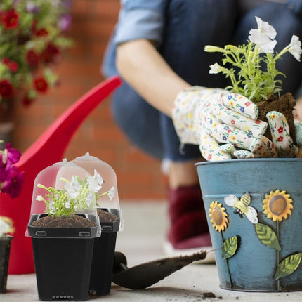 Mini puķupodu audzēšanas podi ar kupolu: 10 gabalu iekštelpu siltumnīcas audzēšanas komplekts, kupola augi, augu podi, palodzes siltumnīca, plastmasas audzēšanas paplātes, augu pods augiem