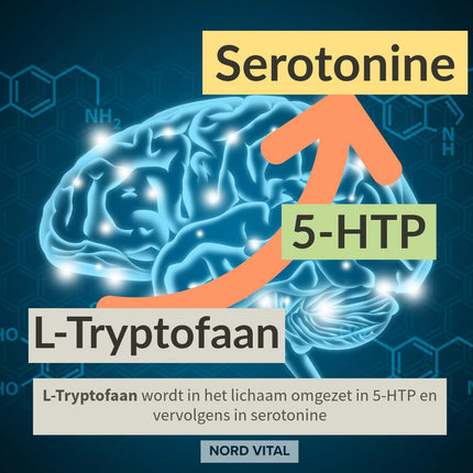 Nord Vital Serotolift - serotonīna un dopamīna prekursori - Rhodiola Rosea, L-triptofāns, L-tirozīns, L-fenilalanīns, hroms, cinks, vitamīni D3, B5, B6, B9 un B12 - vegāns - ražots Vācijā