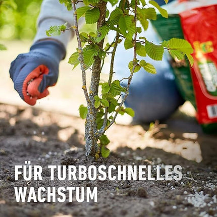 COMPO Hedge Turbo - spēcīgs īpašs mēslojums dzīvžogiem un jauniem stādījumiem - dzīvžogu mēslojums ātrai augšanai - 4 kg, zaļš -