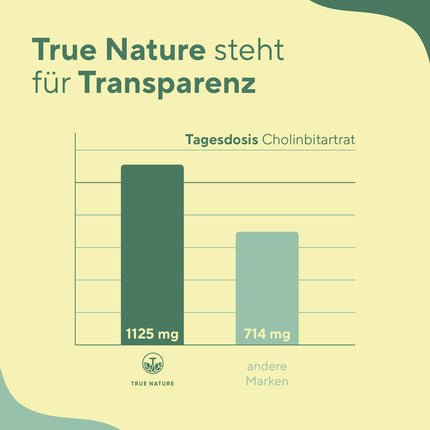 Holīna kapsulas - 360 kapsulas - holīna bitartrāts - *Aknu veselība, homocisteīns un lipīdu metabolisms (EFSA) - vegāns, ražots Vācijā - TRUE NATURE®