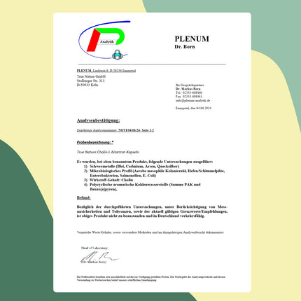 Holīna kapsulas - 360 kapsulas - holīna bitartrāts - *Aknu veselība, homocisteīns un lipīdu metabolisms (EFSA) - vegāns, ražots Vācijā - TRUE NATURE®
