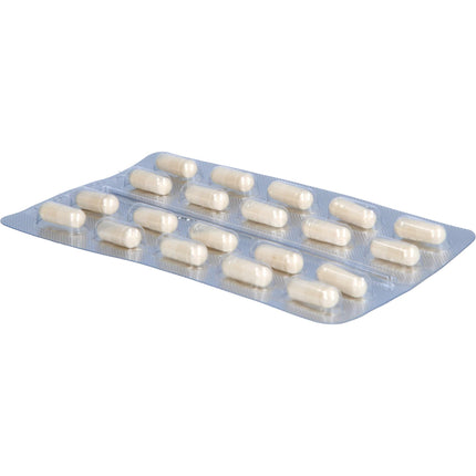 Doloctan forte kapsulas