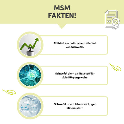 MSM pulveris 1000g | 99,9% tīra organiskā sēra | Augstākās kvalitātes metilsulfonilmetāns bez piedevām | Vegāns