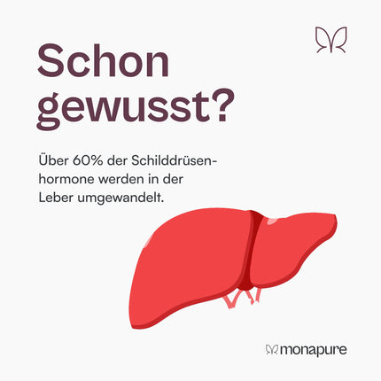 monapure Transformer vairogdziedzera un aknu komplekss ar piena dadzi, artišoku, holīnu, glutationu, selēnu, NAC + citām aminoskābēm - 60 kapsulas ar augstu devu un vegānisks