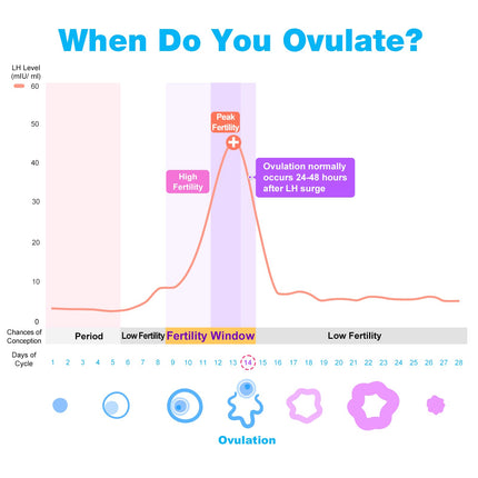 Easy@Home 50 ovulācijas testi + 20 grūtniecības testi Agrīnais tests - jutīgi auglības testi ovulācijai 25 mSV/ml un grūtniecības testi ar optimālu jutību