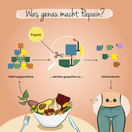 Papaijas enzīms Vegavero® | Augsta deva: 2100 mg tīra papaīna dienā | Augsta enzīmu aktivitāte: 100 000 vienības/g | Dabiski no augļiem| 120 kapsulas | Vegāns un bez piedevām