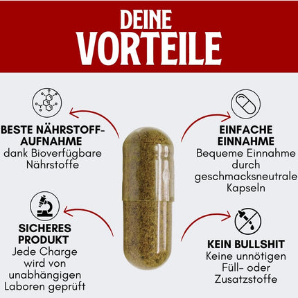 HERZBLUT (90 kapsulas) - spēcīga sinerģija sportistiem no Beefheart &amp; Beefliver; enerģijas iegūšanai; Veiktspēja; asins veidošanās; dzelzs vielmaiņa; 100% vācu, dabīgs un bioloģisks