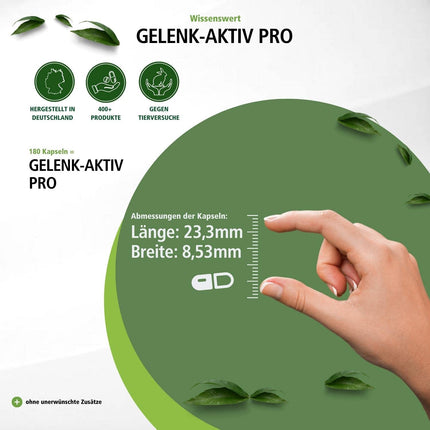 Fairvital | Joint Active Pro - 90 kapsulas - glikozamīns 1200 mg dienā ar hondrotīna sulfātu + MSM + hialuronskābi + astaksantīnu - AUGSTA DEVA