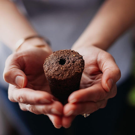 Click and Grow pētersīļu augu pāksšu uzpildes iepakojums substrāta kapsulai augu kapsulas Smart Garden iekštelpu dārzam 3 kapsulas