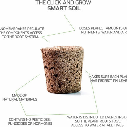 Click &amp; Grow Smart Garden piparmētru augu pākstis, 3 iepakojumā